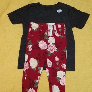 Garanimals 5T set